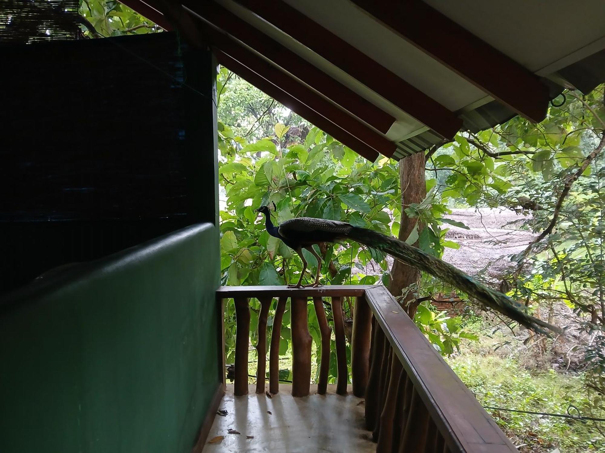 Sigiri Holiday Villa Sigiriya Exterior photo
